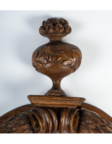 大量营养反映了