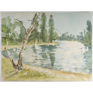 Lakeside com barcos