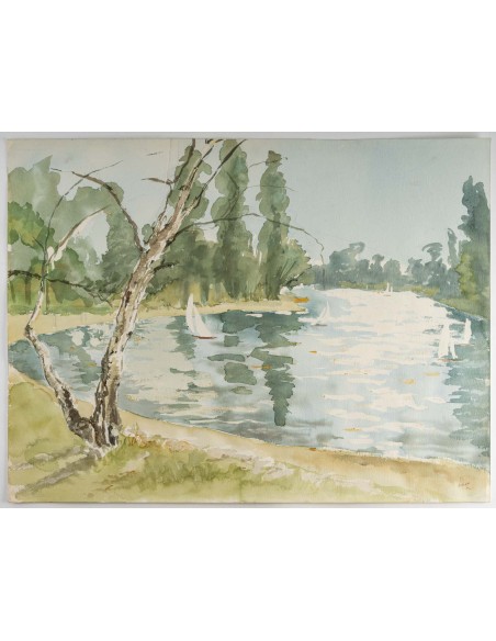 Lago con barche
