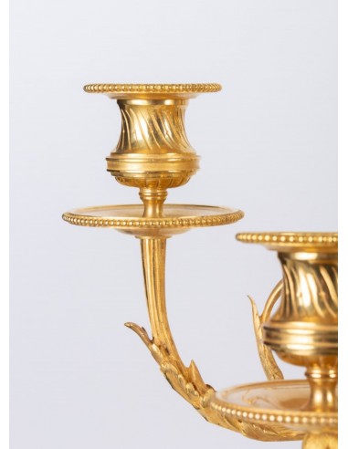 Elegant Garniture Fireplace (ang.)