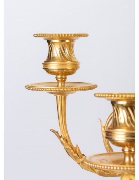 Elegant Garniture Fireplace (ang.)