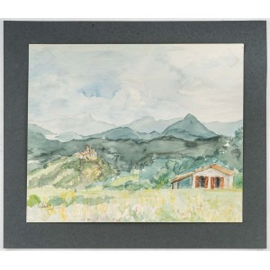 山区景观,水果