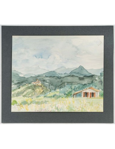 山区景观,水果