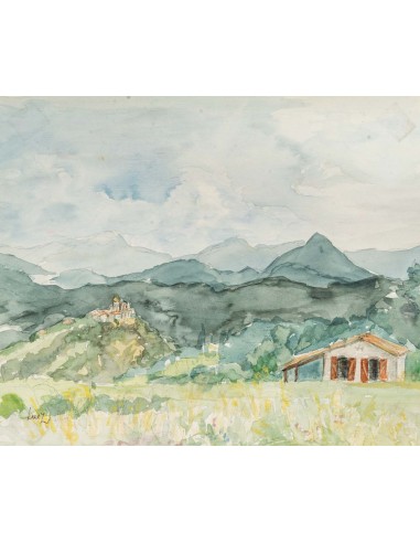 山区景观,水果