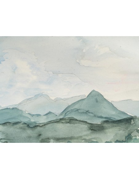 山区景观,水果
