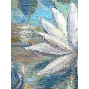 Nenufari su acqua, xx secolo 2