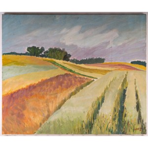 Paisaje de campos en la campiña