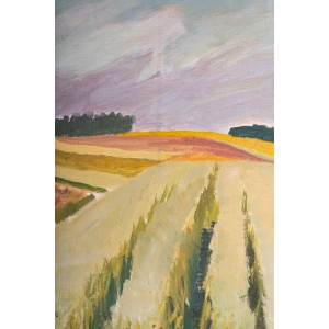 Paisaje de campos en la campiña 2