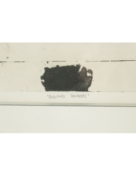 Gravur, Lithographie, signiert Ferrer