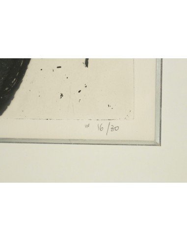 Incisione, litografia, ferrer firmato