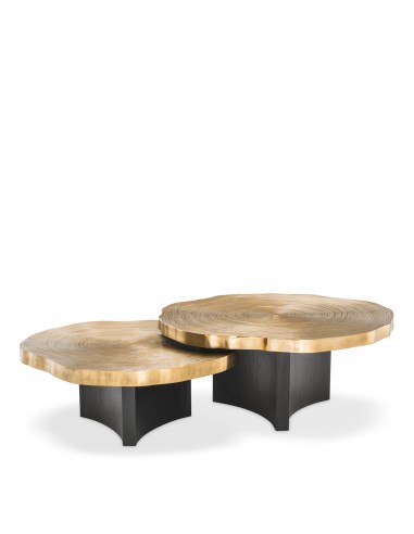 Twee koffietafels.