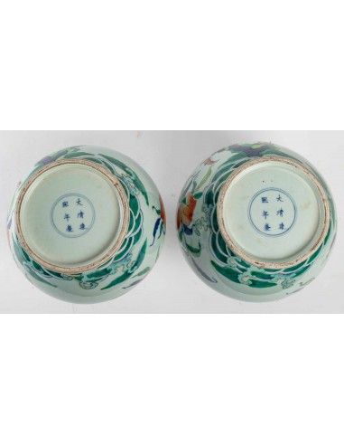 Pareja de jarrones Longevity Peach