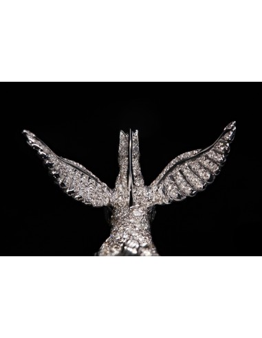 Modelo Pegasus, Anillo.