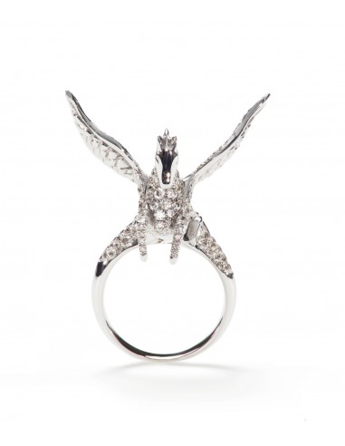 Model Pegasus, Ring.