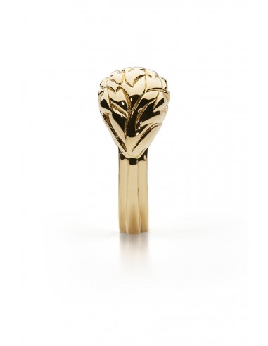 Modello Chimera, Anello.