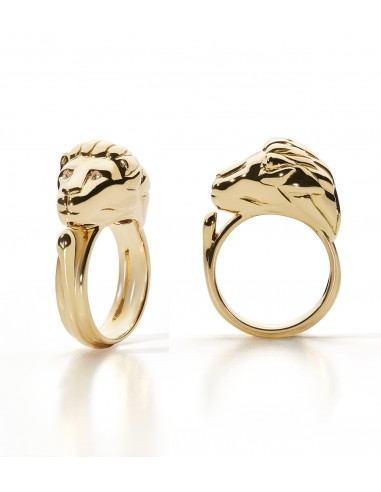 Modello Chimera, Anello.