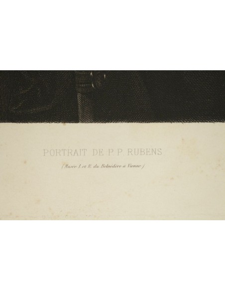 进一步描绘P.P.P.Rubens,×半世纪