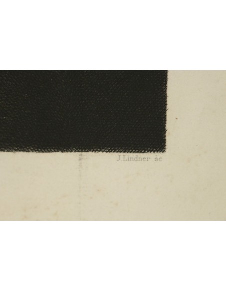 Engraving depicting the portrait of P.P.Rubens, xixth century