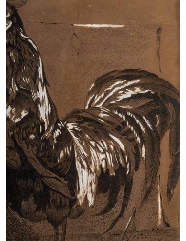 公鸡 "铅笔画，带框，20 世纪