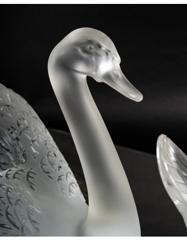 Dois cisnes, Lalique, 1950