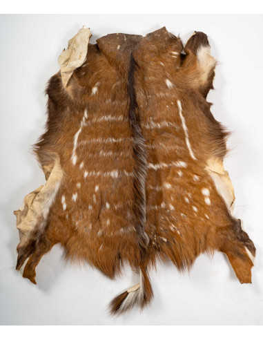 Pelle animale per decorazione della...