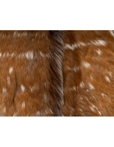 Pelle animale per decorazione della...