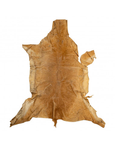 Pele de animal para decoração de parede