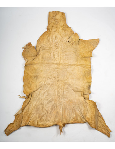 Beast skin for wall decoration