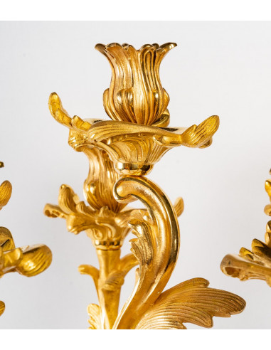 Paire de Candélabres en Bronze doré...