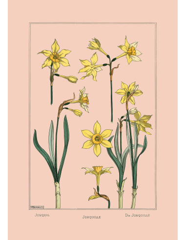 Beautiful Botanical Drawing Photo...