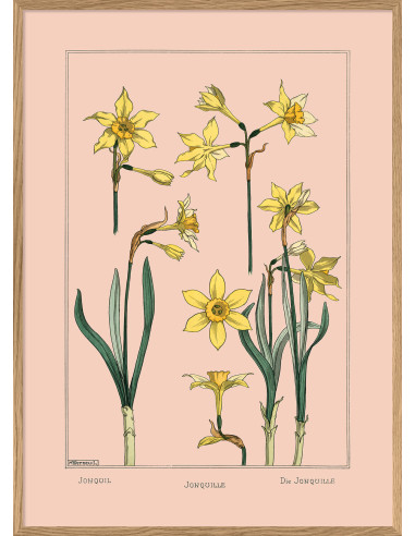 Beautiful Botanical Drawing Photo...