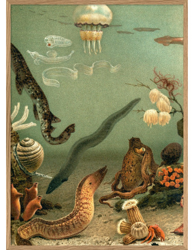 非常漂亮的 "水族馆左侧 "画框印刷品