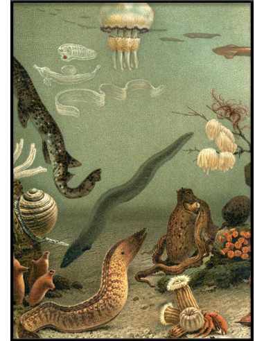 非常漂亮的 "水族馆左侧 "画框印刷品