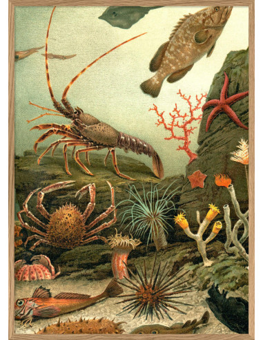 非常精美的 "水族馆右侧 "画框印刷品