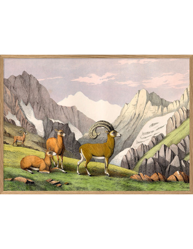 非常精美的 "山 "字画框架印刷品