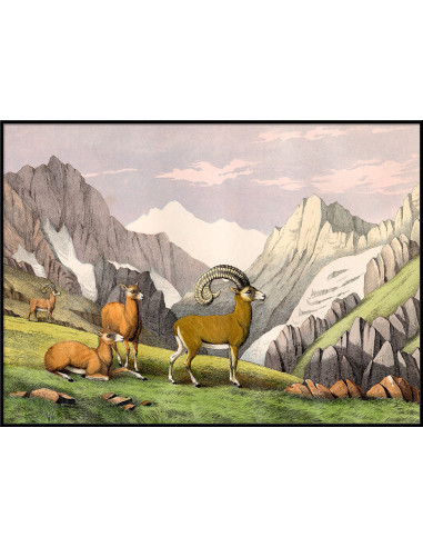 非常精美的 "山 "字画框架印刷品
