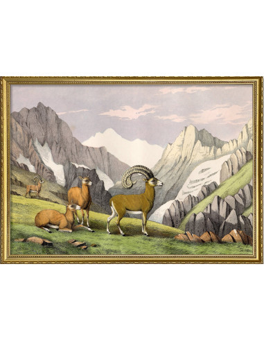 非常精美的 "山 "字画框架印刷品