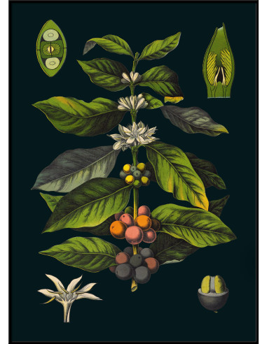 非常精美的 "Le Café "画框印刷品