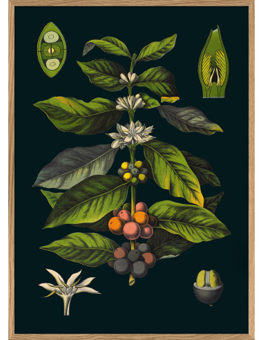非常精美的 "Le Café "画框印刷品