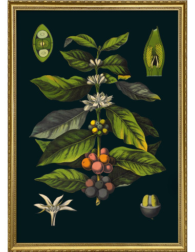 非常精美的 "Le Café "画框印刷品