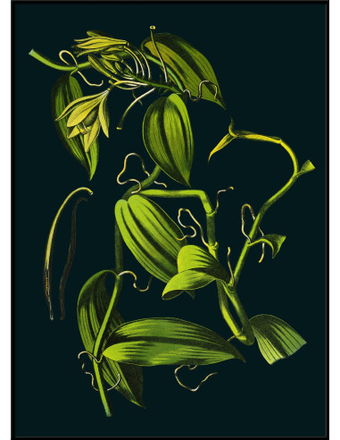 精美印刷画框：香草色
