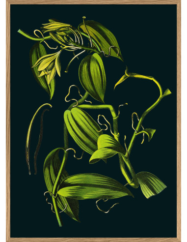 精美印刷画框：香草色