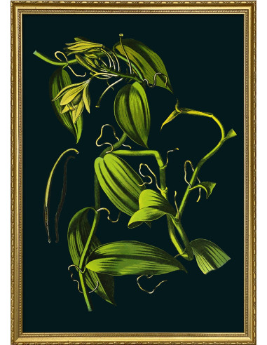 精美印刷画框：香草色