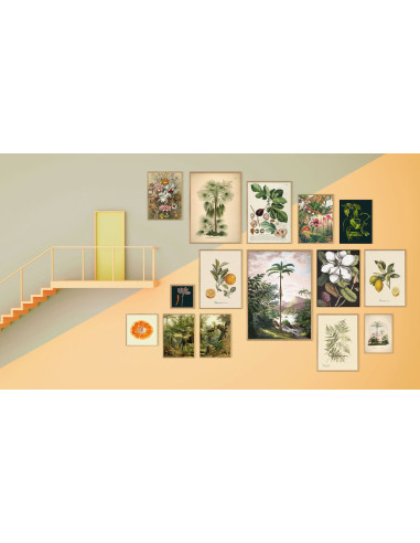 精美印刷画框：香草色