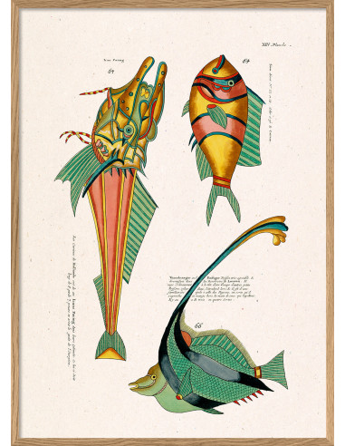美术印刷画框，标题为 "Les Poisson...