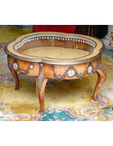 Coffee table, flat display case,...
