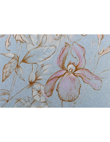 莱奥诺尔-菲尼（Léonor Fini）的石版画，20 世纪。