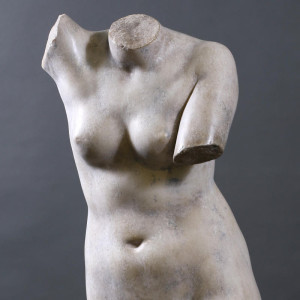 Bellissimo busto di Venere,... 2