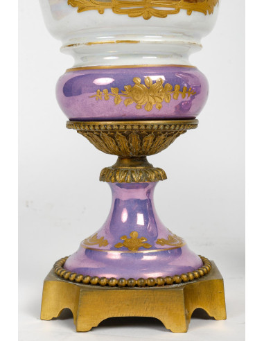 一对鸢尾花塞夫勒瓷器和镀金青铜盖花瓶，19 世纪。
