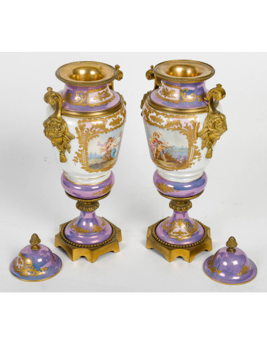 一对鸢尾花塞夫勒瓷器和镀金青铜盖花瓶，19 世纪。